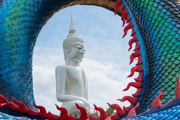 Estátua do grande Buda branco No espaço do meio do ciclo das escamas de dragão