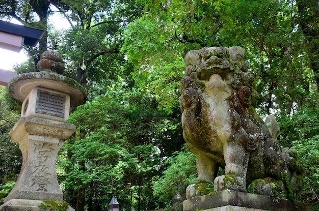 Estátua do guardião do leão no Santuário Kasuga em Nara Japão