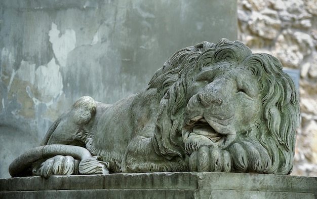 Estátua do leão no centro de Lviv