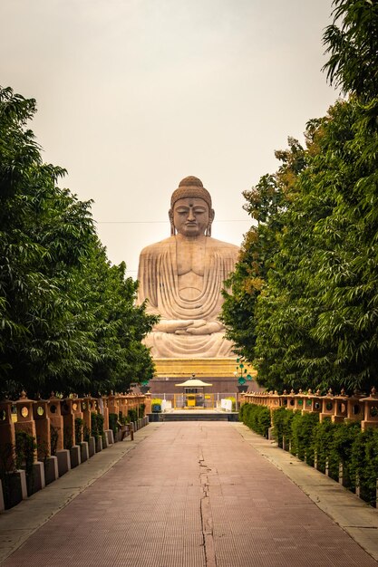 Foto la estatua dorada de buda aislada en detalles