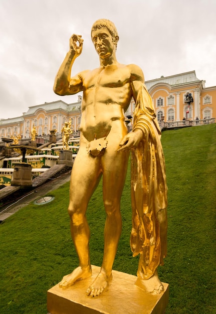 Estátua dourada por cascata no palácio de peterhof