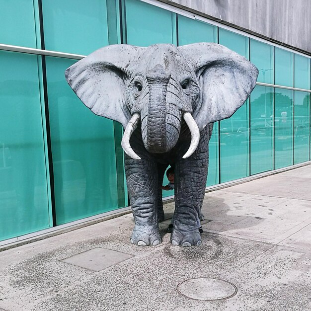 Foto estatua de un elefante en el zoológico