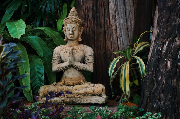 Una estatua frente a un árbol con una planta al fondo.