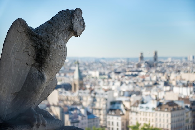 Estatua de gárgola en la catedral de Notre Dame de París en Francia antes del incendio el 15 de abril de 2019. París, Francia