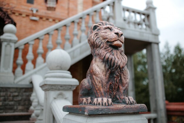 Foto estatua de un león