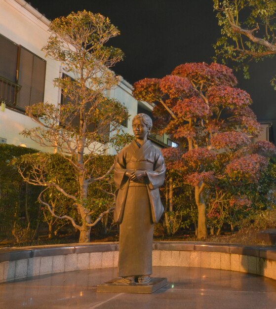 Foto la estatua de la libertad