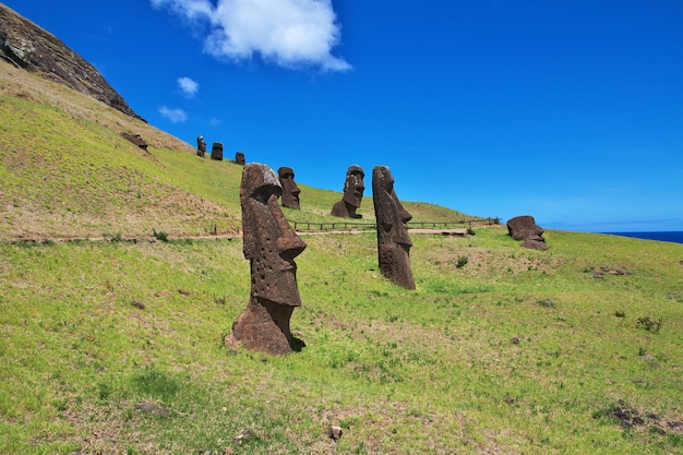 La estatua Moai en Rano Raraku en Rapa Nui Isla de Pascua de Chile