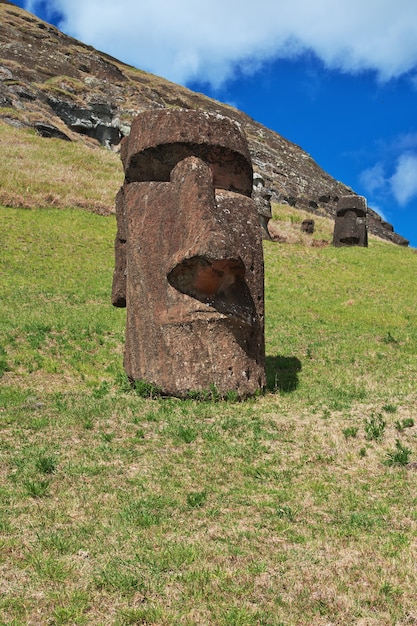 La estatua Moai en Rano Raraku en Rapa Nui Isla de Pascua de Chile