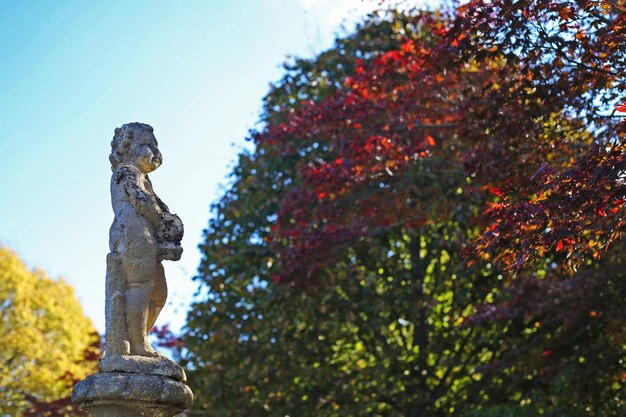 Estatua del niño de la fuente en el paisaje de la hoja del árbol de arce del otoño en colores verdes rojos de Australia con sunlig