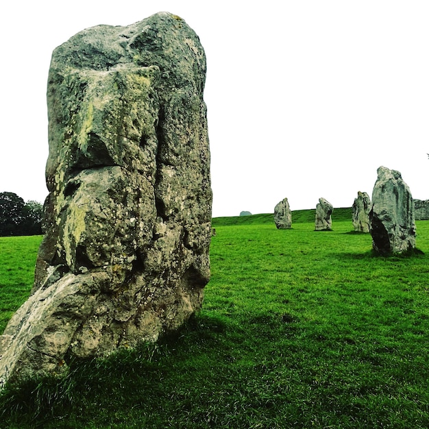 Estátua no campo contra o céu claro