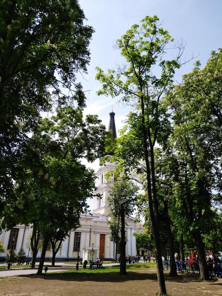 Foto estátua no meio das árvores contra o céu