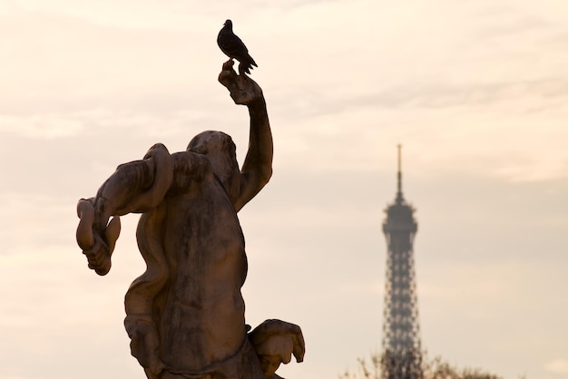 Estatua de la paloma y Torre Eiffel en París