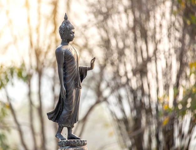 Estatua de pie de Buda en el templo de Tailandia