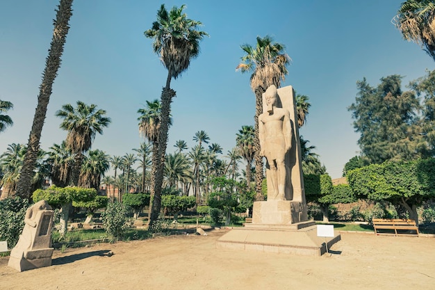 Estatua de pie de Ramsés II en el fondo de palmeras verdes en el museo al aire libre de Memphis Egipto