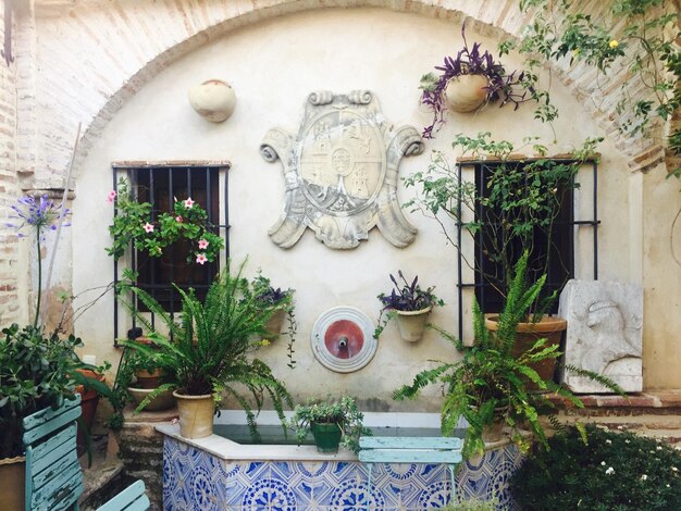 Foto estatua en una planta en olla fuera del edificio