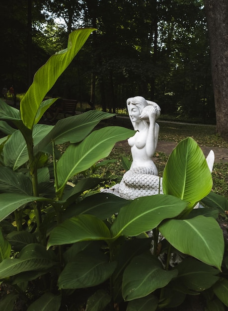 Foto una estatua de una sirena está en la hierba.