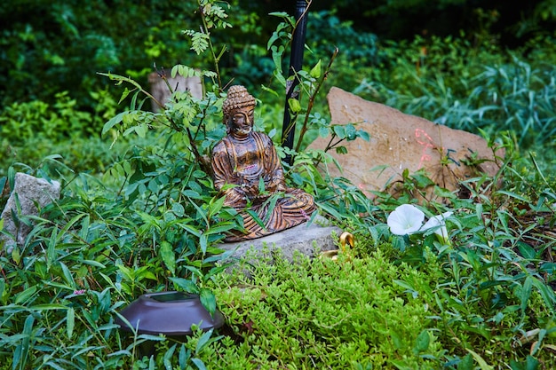 Estatua solitaria de Buda en los jardines salvajes del templo