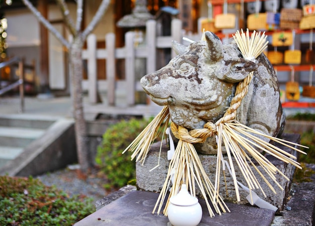 Estatua de vaca de piedra en templo japonés