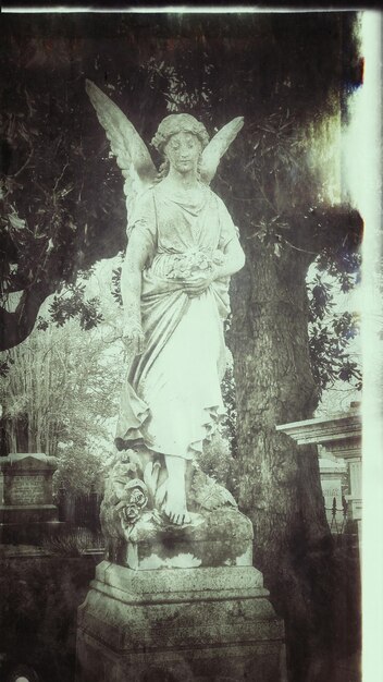 Foto estatua vieja contra un árbol en el cementerio