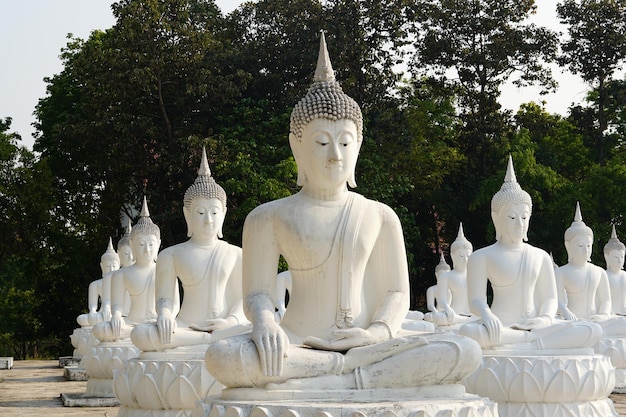 estátuas brancas de Buda estão dispostas em belas fileiras