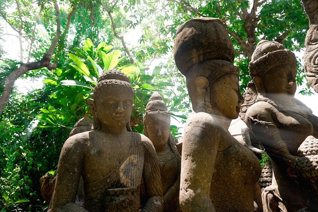 Estatuas de Buda escondidas en las hojas de la selva tropical con niebla por la mañana