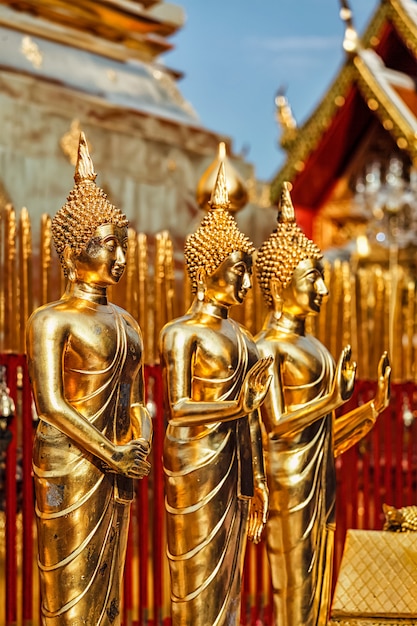 Estátuas de Buda de ouro em Wat Phra That Doi Suthep