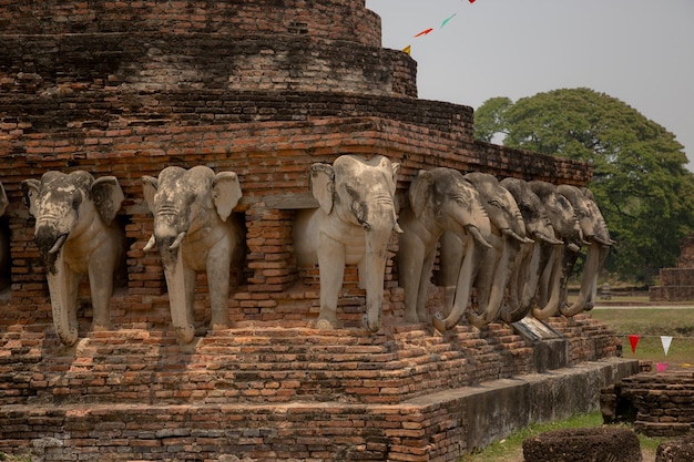 Estatuas de elefantes en el parque histórico de Sukhothai Tailandia Estos están en los templos antiguos en el parque histórico de Sukhothai