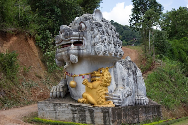 Foto estatuas de leones de china