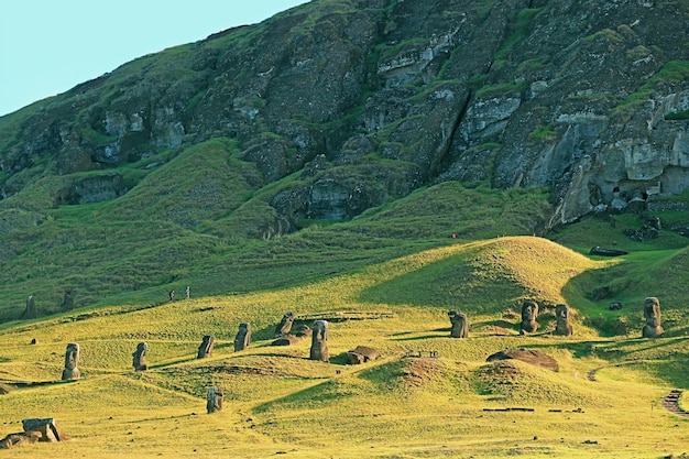 Estatuas moai en la ladera del volcán rano raraku la legendaria cantera moai en la isla de pascua de chile