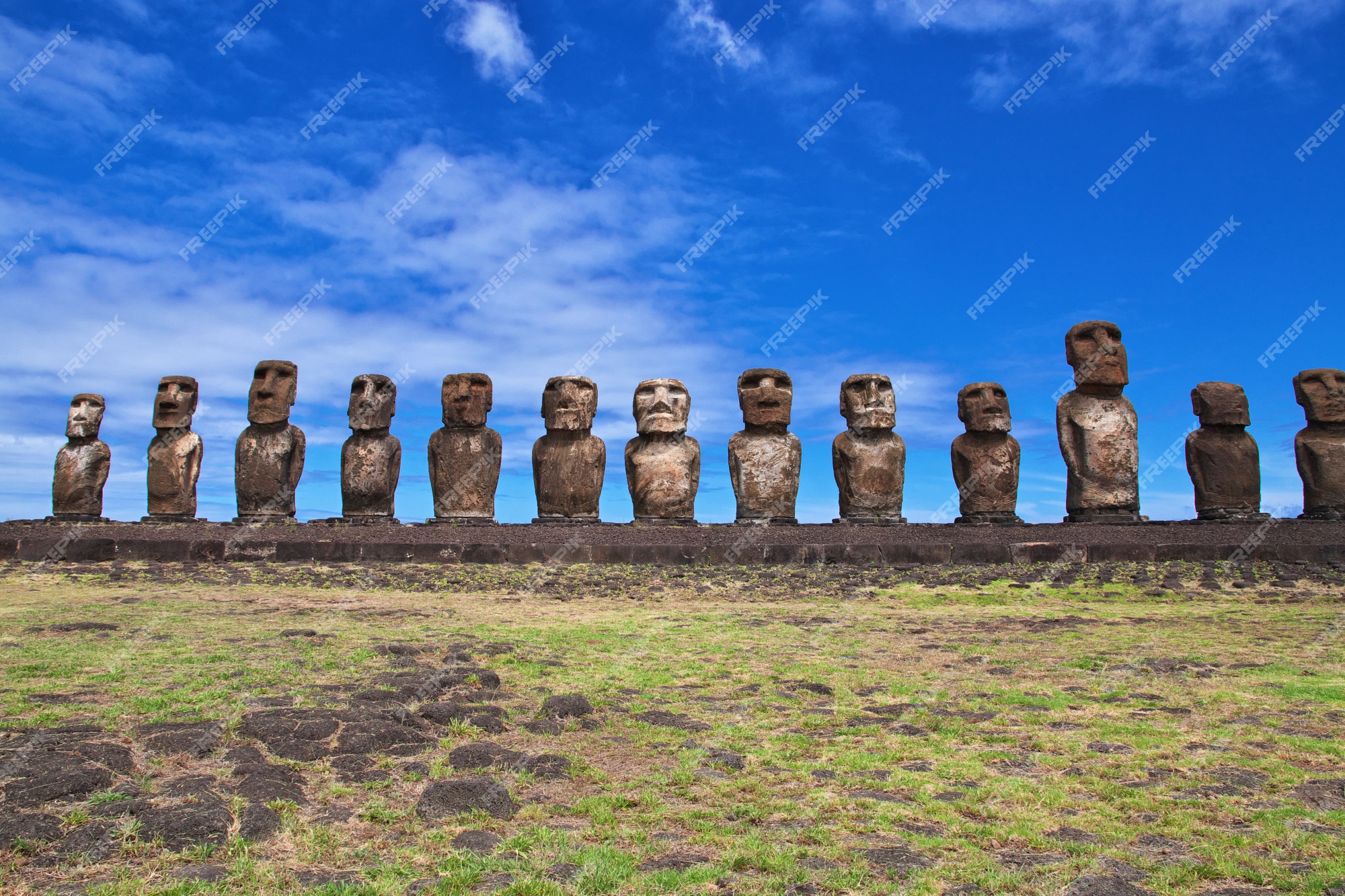 Ilustração em vetor premium de estátuas moai na ilha de páscoa