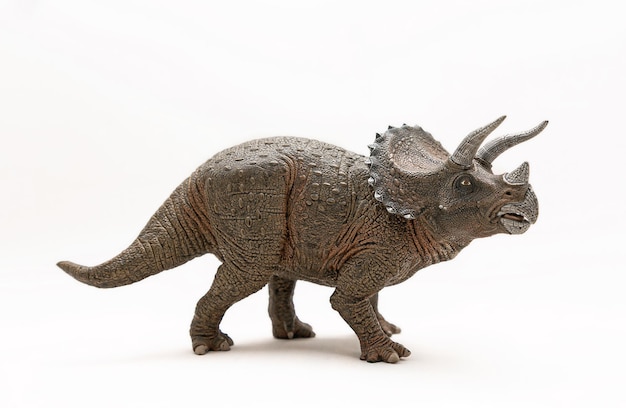 Foto estatueta de dinossauro triceratops realista
