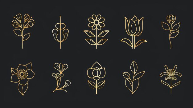 Este conjunto de modelos de design de logotipo moderno é em um estilo linear de moda com folhas e flores Os sinais são feitos de papel de ouro com fundo preto e são adequados para produtos de luxo florista