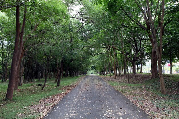 Este é um parque de corrida.