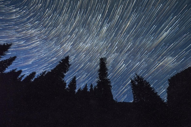 Estelas de estrellas en el cielo nocturno sobre el bosque de coníferas