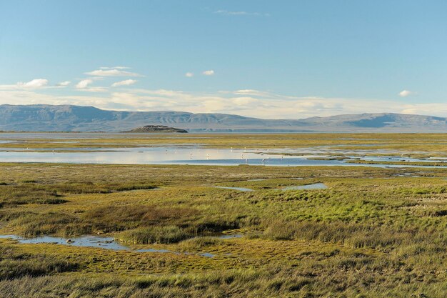 Estepa húmeda en El Calafate - Patagonia.