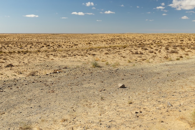 Estepa en Kazajstán, hermoso paisaje desierto, pasto seco en la estepa