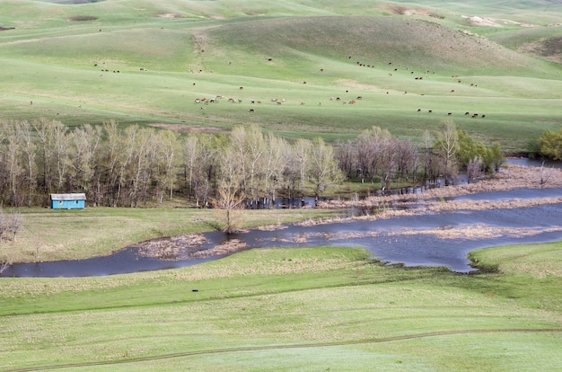 Estepe montanhosa na primavera