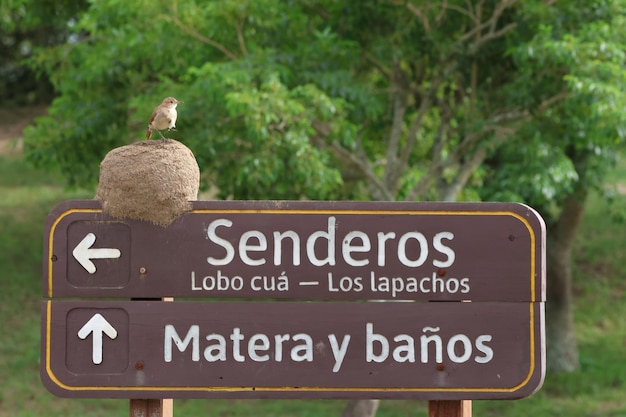 Foto esteros del ibera