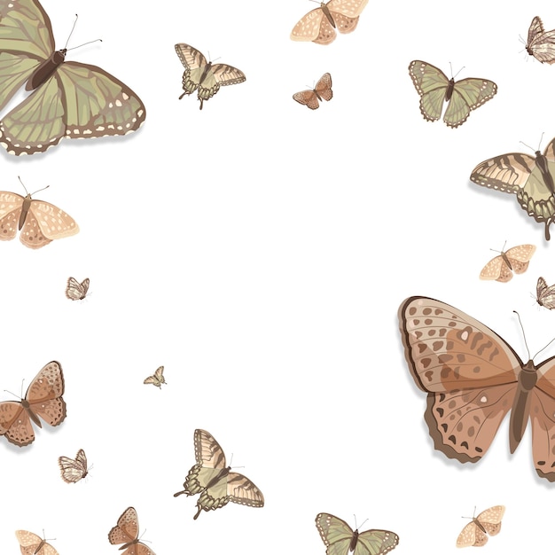 Estética mariposa marco de borde png fondo transparente