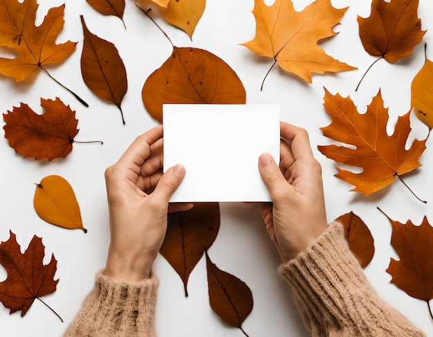Estética neutra com a mão segurando um cartão em branco com tema de outono