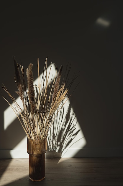 Estética seca beige pampas cana de grama em vaso de vidro belo fundo minimalista com cores neutras reflexos de sombra da luz do sol na parede vibrações parisienses