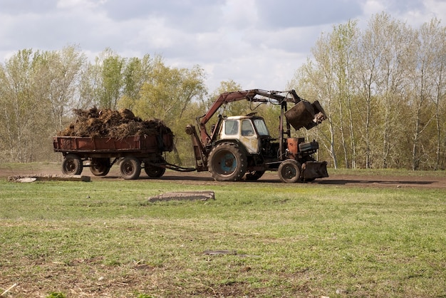 Estiércol cargado de tractor y carro. Vida de campo