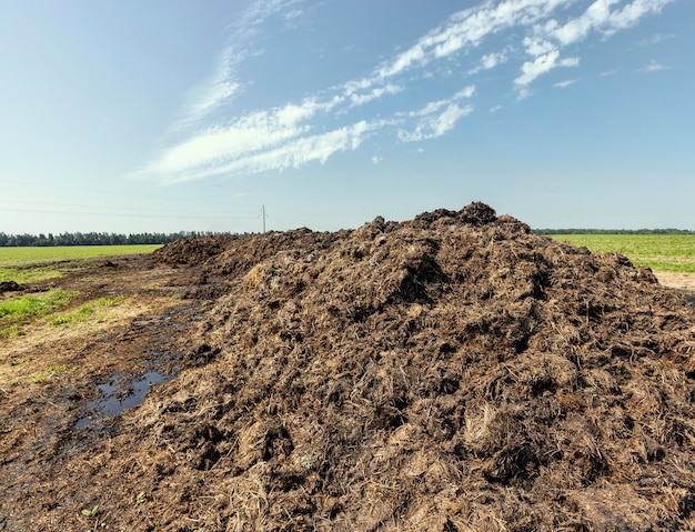 Estiércol para fertilizar el suelo en el campo.