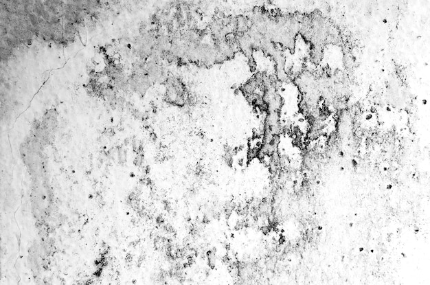 Estilo abstrato preto e branco do grunge da textura.