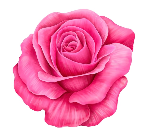 Estilo acuarela de flor rosa