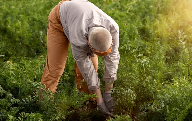 Foto estilo de vida de pessoa ecologicamente correta