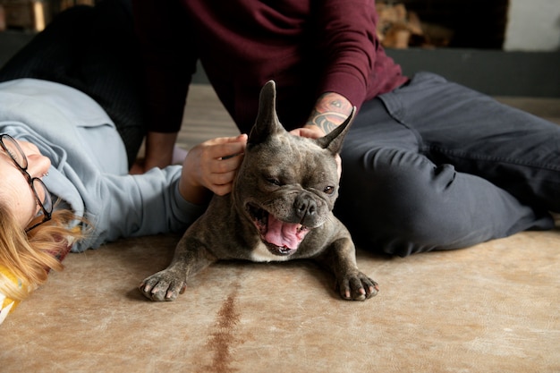 Foto estilo de vida do cão e cuidados com o dono