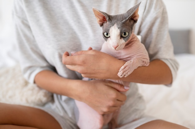 Estilo de vida e retratos de gatos de estimação