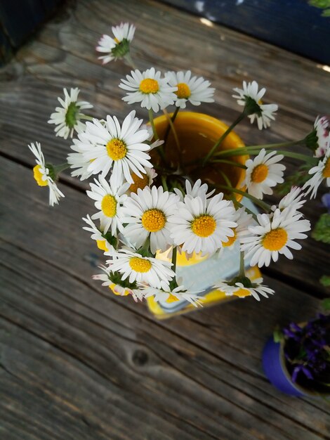 Foto estilo de vida rural flores em vaso amarelo