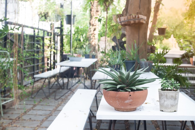 Estilo del jardín casero, patio trasero del estilo del país y del vintage